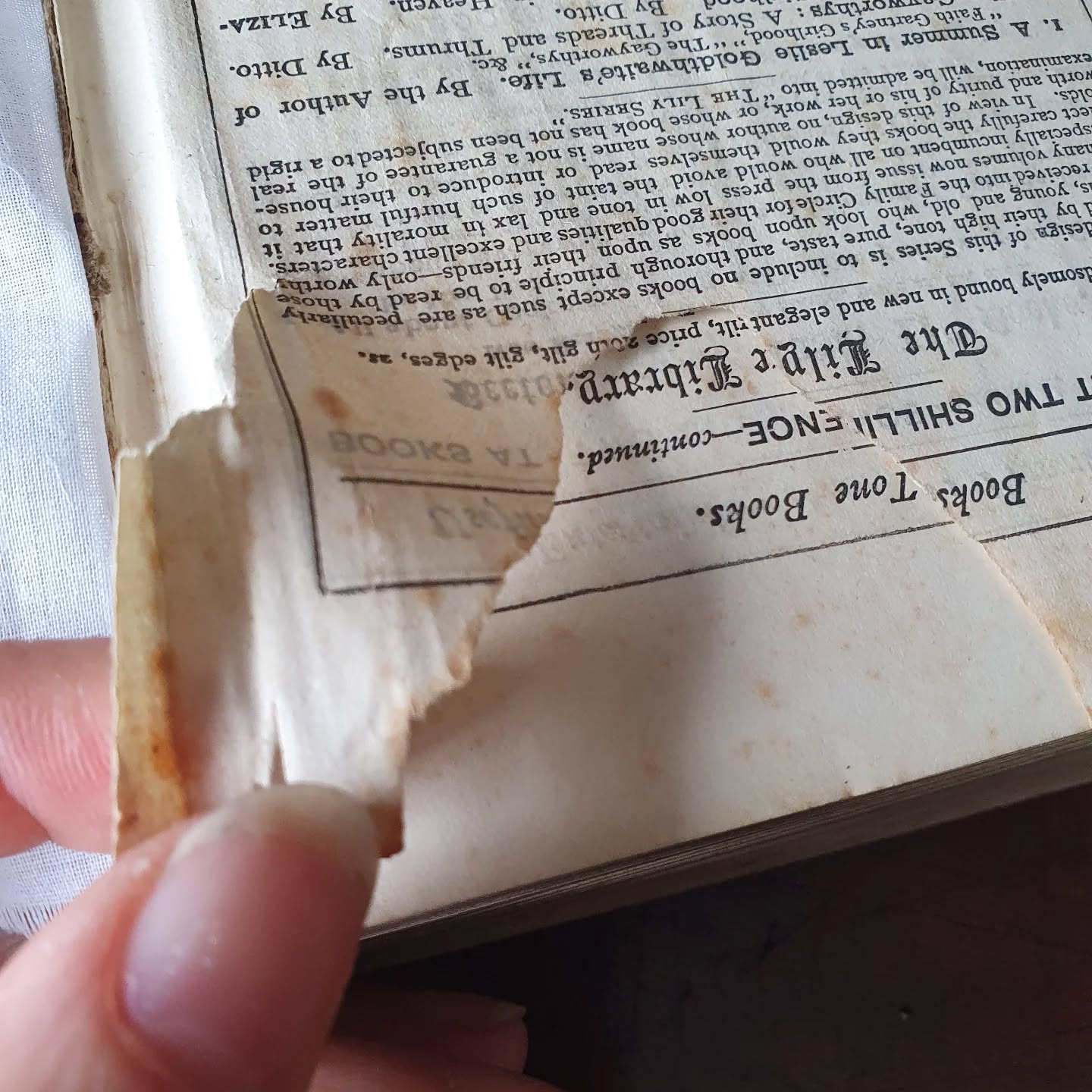 A challenging bit of repair and infill this week on this 1869 book. Step one, flattening out all the little creases.

[Image description: a hand holding the edge of a torn page with a chunk taken out of it.]