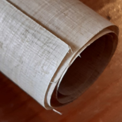 a roll of papyrus