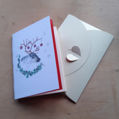 A pamphlet with a reindeer on and an envelope