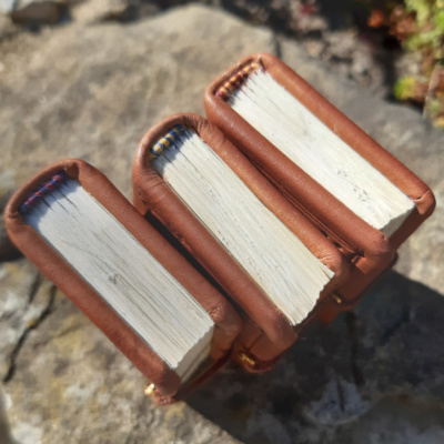 A photo taken from above of three miniature medieval-style leather bindings showing off the striped coloured hand-sewn headbands
