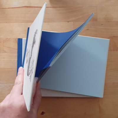 A book held open to shot the dark blue end papers and the pale blue pages.