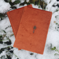 Two orange velvet covered books are lying surrounded by snow and foliage. In the centre of the books' cover is a brass key.