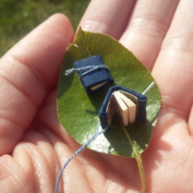 a hand holding a leaf with two miniature books on. The books are blue and held shut with thread ties.