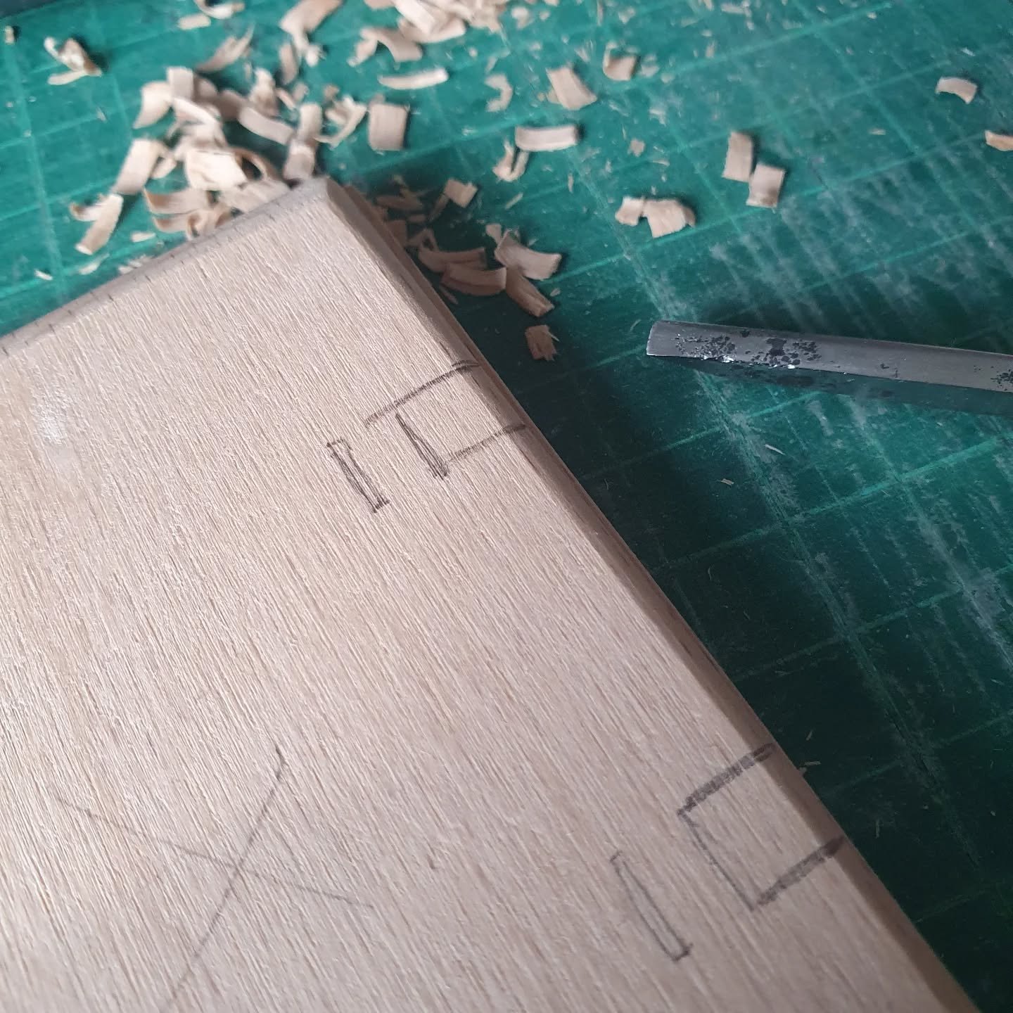 If you were binding your book historically you'd normally do this step yourself to fit your sewing supports. My lucky @leedsims students next week get to skip the steps around shaping and chiselling their wooden boards. Sadly that means I don't. Hurrah for sharp tools. Boards by the ever helpful @fiftyelevencabinetry (who will also be assisting my October class where we will be doing these steps together).

[Image description: a wooden board marked with pencil to show the spacing of channels. In the background lies a chisel and sawdust.]